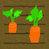 Carrot_step3